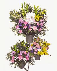 生花